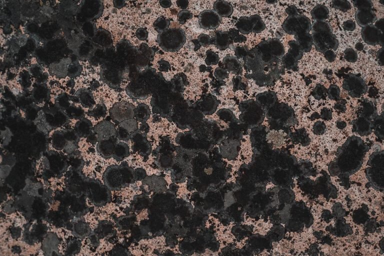 Tan Brown Granite Slab