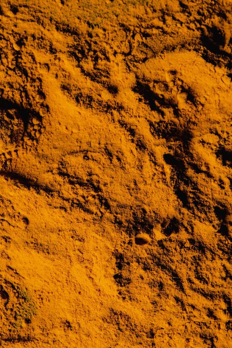 Turmeric Powder Spice